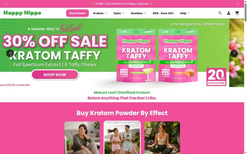 Screenshot: Happy Hippo homepage