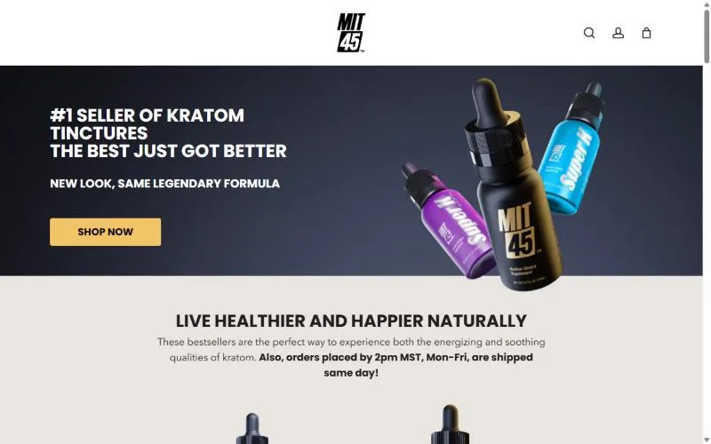 Screenshot: MIT45 homepage